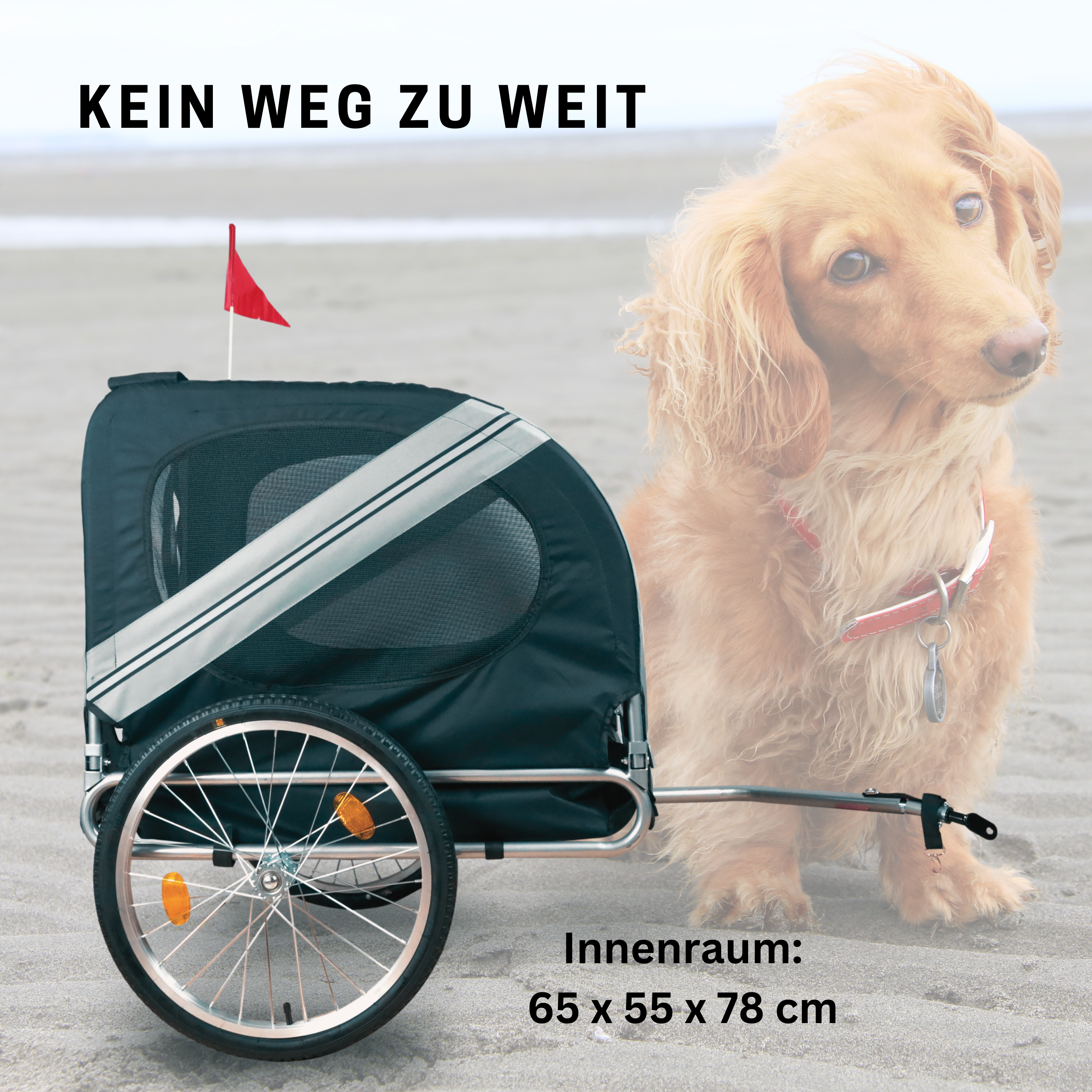 FROSAL Fahrradanhänger Lukas für Hunde