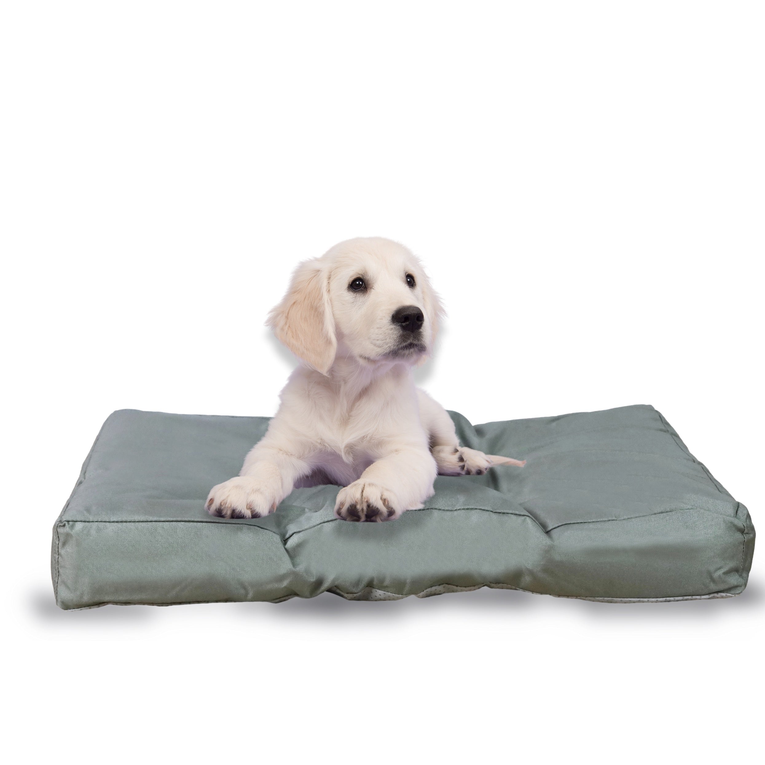 FROSAL Hundekissen M – Komfortables, rutschfestes Kissen für Hunde