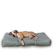FROSAL Hundekissen L