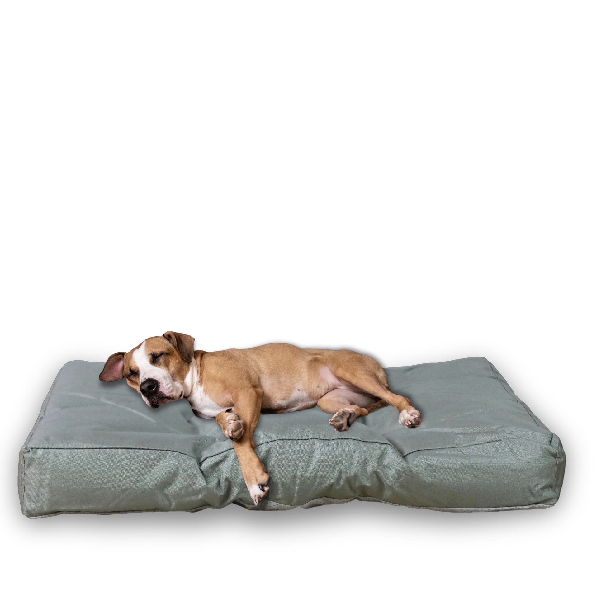 FROSAL Hundekissen L