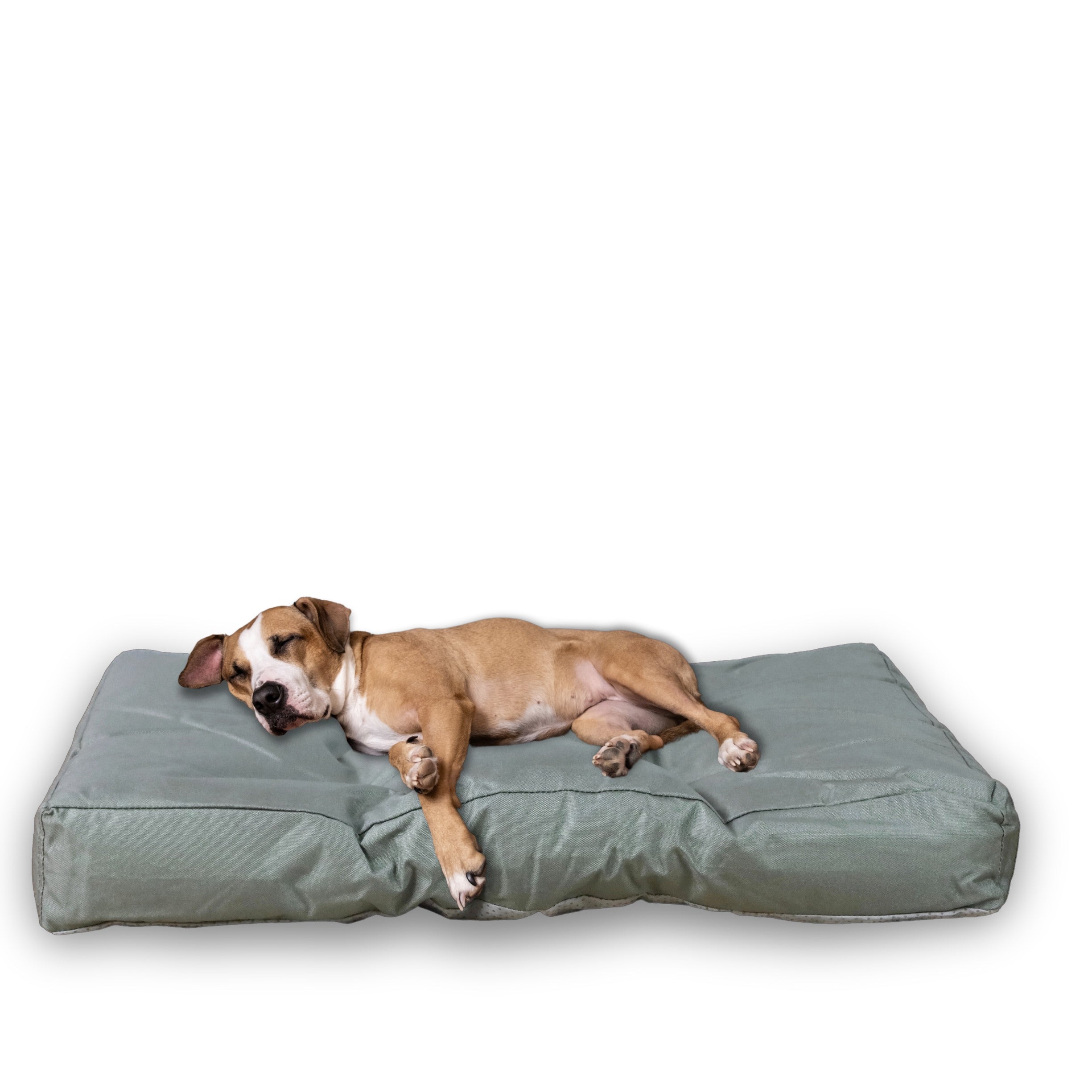 FROSAL Hundekissen L