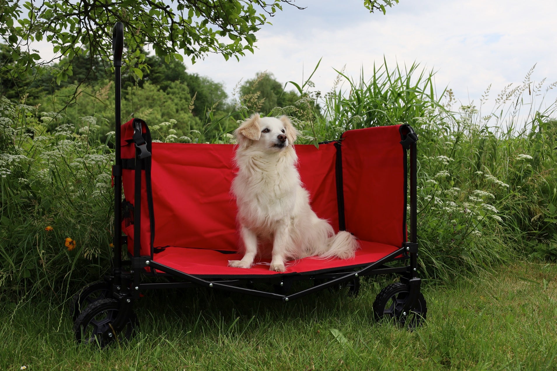 FROSAL handcart Bruno gray