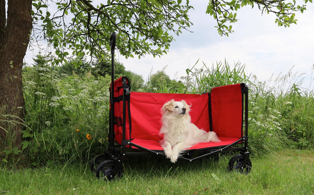 FROSAL Bollerwagen Bruno grau