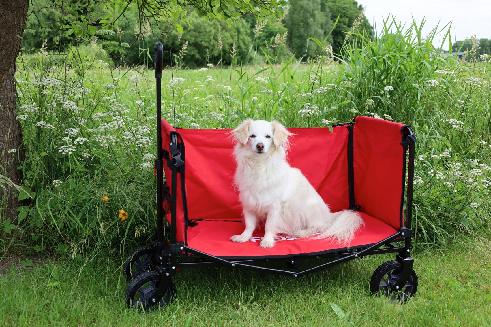 FROSAL handcart Bruno green 