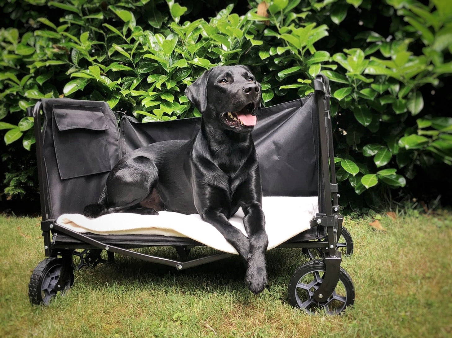 FROSAL handcart Bruno green 