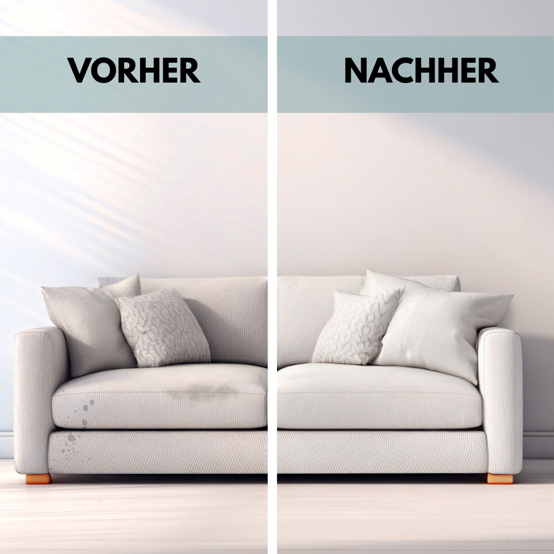 FROSAL Polsterreiniger