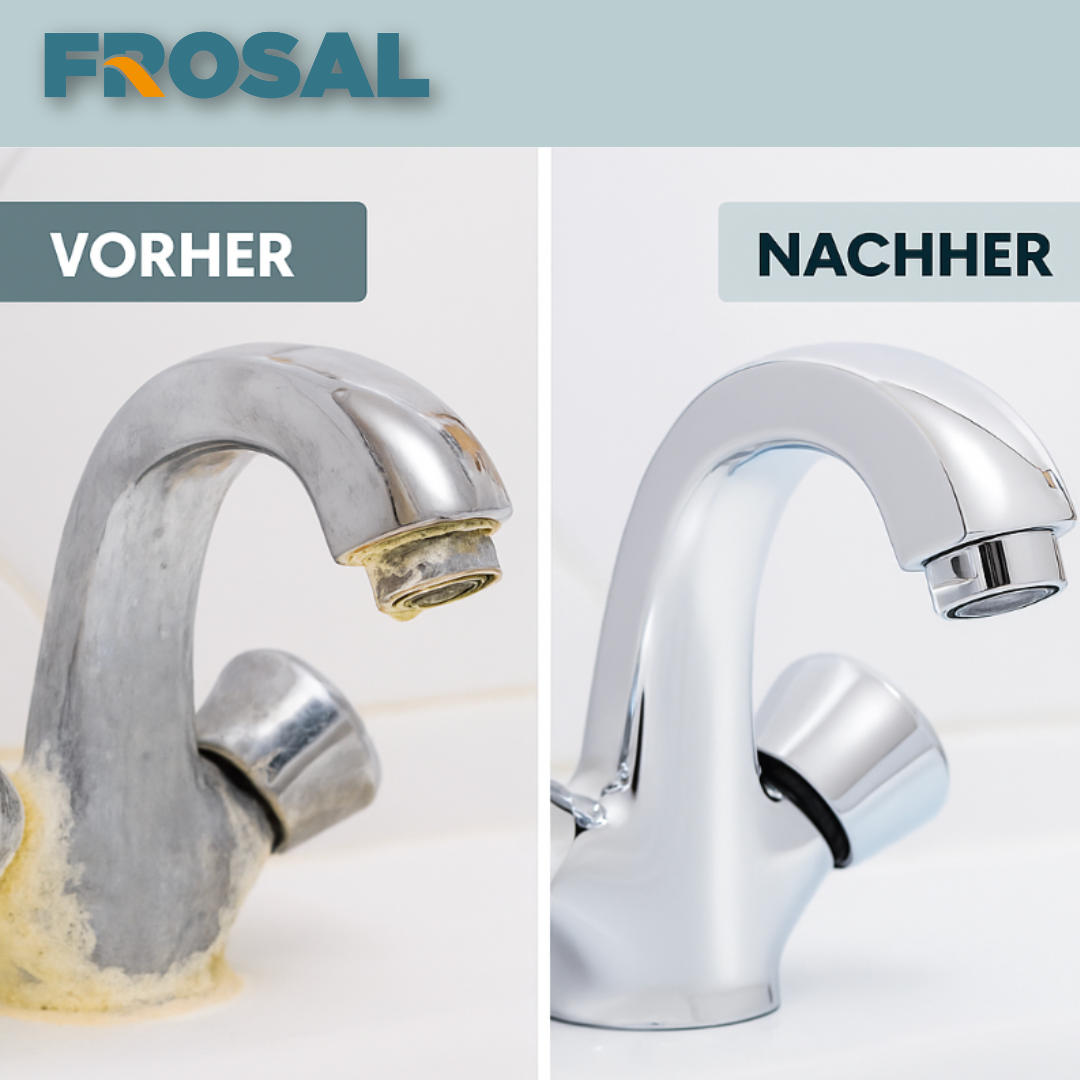 FROSAL Kalkentferner Gel